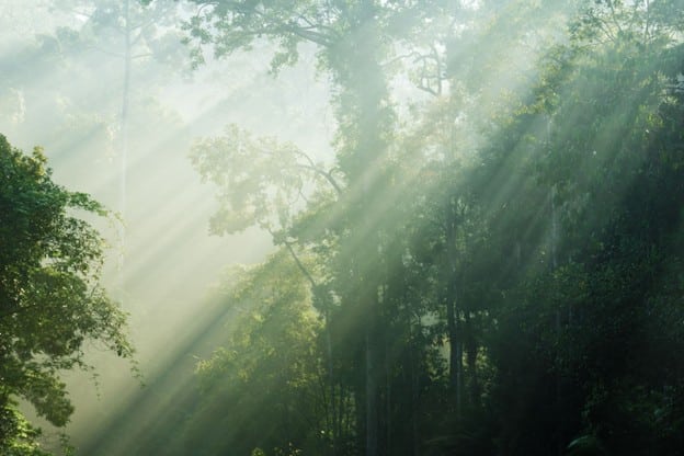 costa-rica-tourism-investmente-a-smart-move-for-forward-thinking-investors