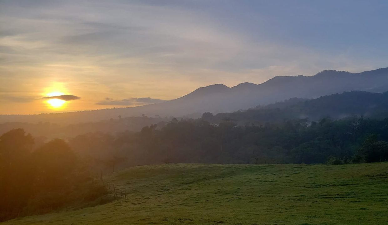 WhatsApp Image 2026-03-21 at 11.28.31 AM