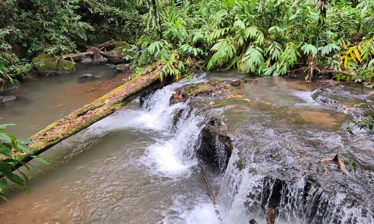 WhatsApp Image 2026-04-08 at 8.43.36 PM