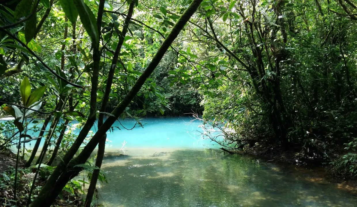 w2560_item_12620_15_12620_81e5bfc285