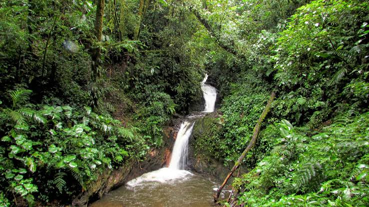 How to Buy a Private Cloud Forest Reserve in Costa Rica