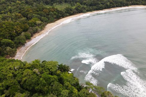 Beach and rainforest on the South Caribbean coast, Costa Rica