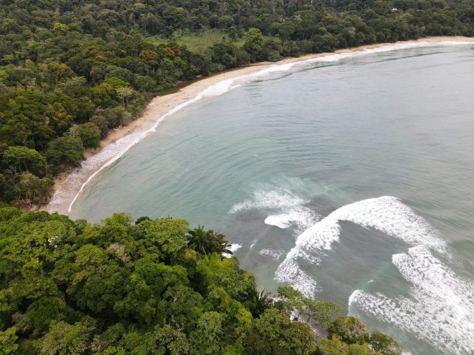 Beach and rainforest on the South Caribbean coast, Costa Rica