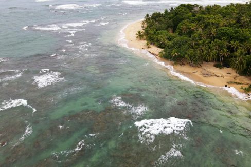 Caribbean beach and jungle, South Caribbean coast, Costa Rica