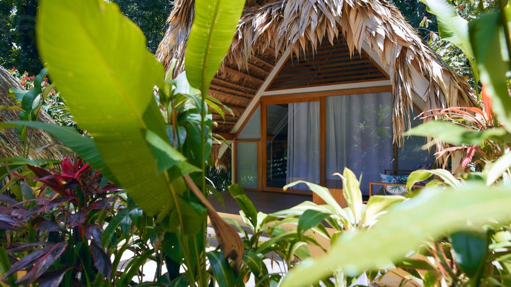 CHN-011 eco-lodge for sale, Puerto Viejo, Costa Rica: photo 5