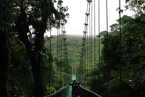 Hanging bridge in the Monteverde cloud forest, Costa Rica