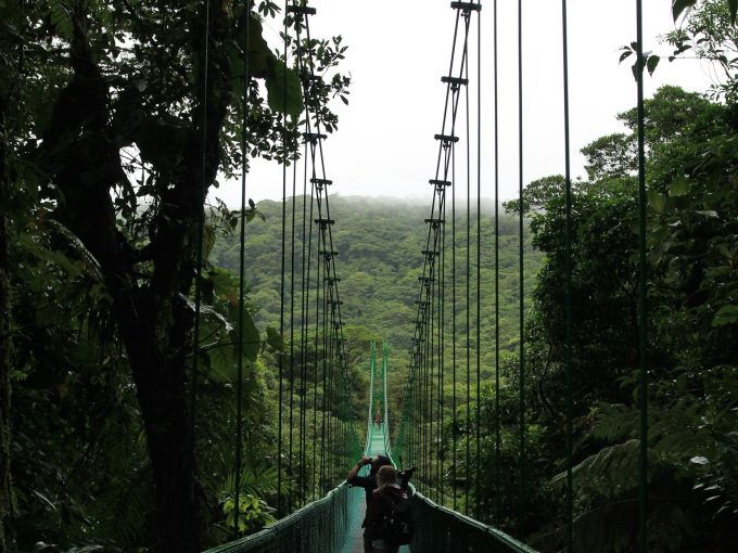 Hanging bridge in the Monteverde cloud forest, Costa Rica