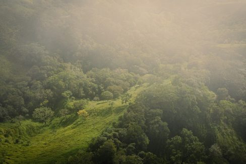 Misty highland forest, Central Valley, Costa Rica