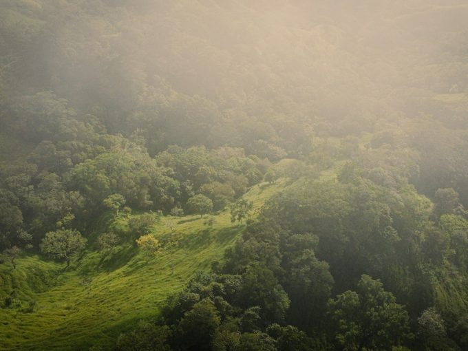 Misty highland forest, Central Valley, Costa Rica