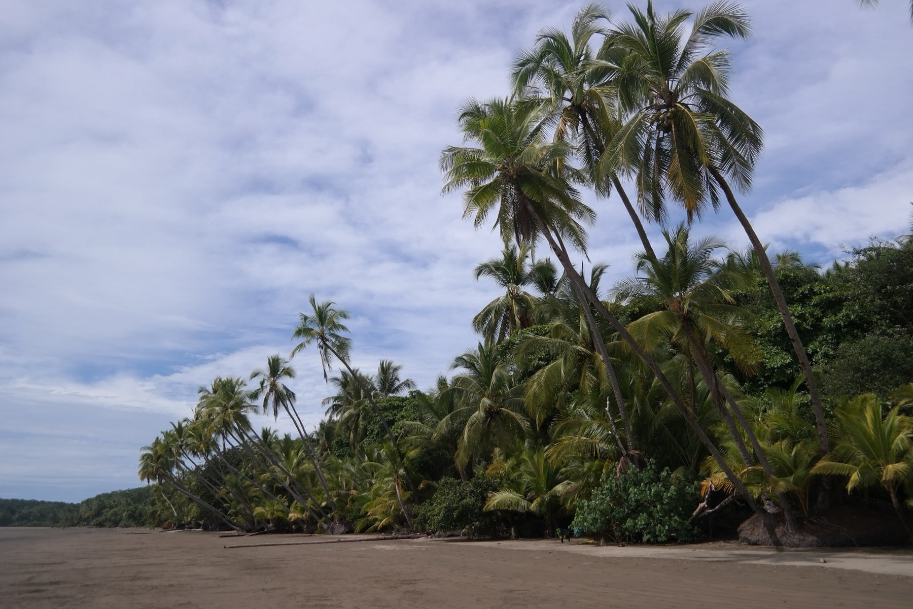 Playa Uvita