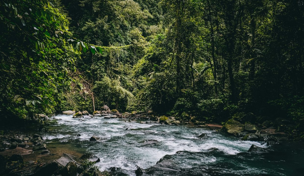 River running through Costa Rican rainforest