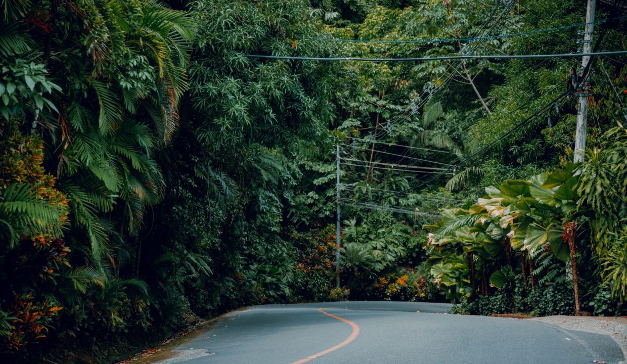 A winding road through lush green rainforest in Costa Rica